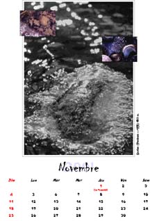 Novembre 2001