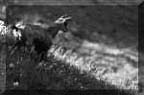 Entrer dans la lumi�re