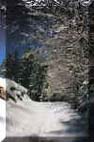 En route vers l'hiver