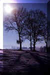 hiver.jpg (27161 octets)