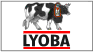 lyoba.gif (1611 octets)
